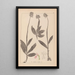 Herbier de la flore française Pl1028 - Louis Antoine Cusin — quadro incorniciato alla parete