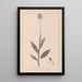Herbier de la flore française Pl1030 - Louis Antoine Cusin — quadro incorniciato alla parete