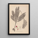 Herbier de la flore française Pl1032 - Louis Antoine Cusin — quadro incorniciato alla parete