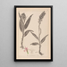 Herbier de la flore française Pl1044 - Louis Antoine Cusin — quadro incorniciato alla parete