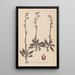 Herbier de la flore française Pl1049 - Louis Antoine Cusin — quadro incorniciato alla parete