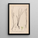 Herbier de la flore française Pl1067 - Louis Antoine Cusin — quadro incorniciato alla parete