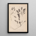 Herbier de la flore française Pl1071 - Louis Antoine Cusin — quadro incorniciato alla parete