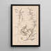 Herbier de la flore française Pl1073 - Louis Antoine Cusin — quadro incorniciato alla parete