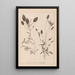 Herbier de la flore française Pl1074 - Louis Antoine Cusin — quadro incorniciato alla parete