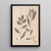 Herbier de la flore française Pl1075 - Louis Antoine Cusin — quadro incorniciato alla parete