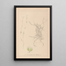 Herbier de la flore française Pl1091 - Louis Antoine Cusin — quadro incorniciato alla parete