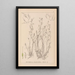 Herbier de la flore française Pl1092 - Louis Antoine Cusin — quadro incorniciato alla parete