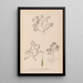 Herbier de la flore française Pl1093 - Louis Antoine Cusin — quadro incorniciato alla parete