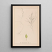 Herbier de la flore française Pl1097 - Louis Antoine Cusin — quadro incorniciato alla parete
