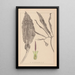 Herbier de la flore française Pl1105 - Louis Antoine Cusin — quadro incorniciato alla parete