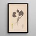 Herbier de la flore française Pl1110 - Louis Antoine Cusin — quadro incorniciato alla parete