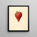 Fragaria Bellmar - Louis Charles Christopher Krieger — quadro incorniciato alla parete