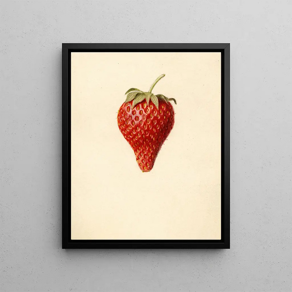 Louis Charles Christopher Krieger - Fragaria Bellmar.webp