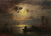 Notte di luna - Louis Douzette — vista dell’opera