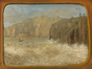 Due gabbiani e scogli - Louis Michel Eilshemius — vista dell’opera