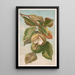 Châtaignier Castanea vulgaris var. Americana - Louis Prang Co — quadro incorniciato alla parete