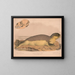 Phoque commun Phoca vitulina - Louis Prang Co — quadro incorniciato alla parete