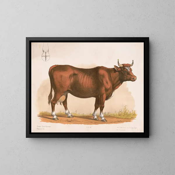 Vache - Louis Prang Co — quadro incorniciato alla parete