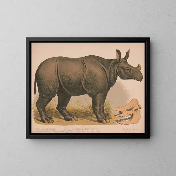 Rinoceronte indiano - Louis Prang Co — quadro incorniciato alla parete