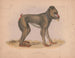 Mormon Maimon Gray - Louis Prang Co — vista dell’opera