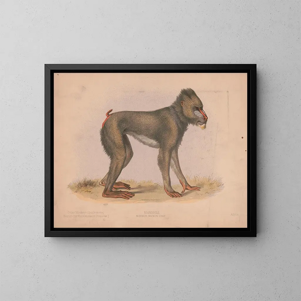 Mormon Maimon Gray - Louis Prang Co — quadro incorniciato alla parete