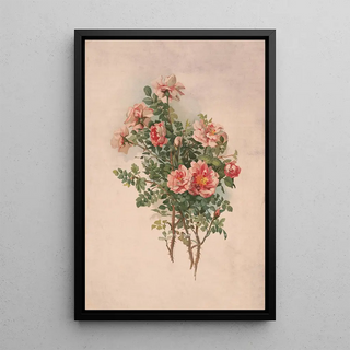 Louis Prang Co - Roses.webp