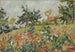 Champ fleuri - Louis Valtat — vista dell’opera