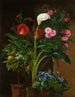 Oranger Streptocarpus Oleandro Un Calla Lily E Fiori Di Cactus - Louise Garlieb — vista dell’opera