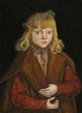 Un principe di Sassonia - Lucas Cranach il Vecchio — vista dell’opera