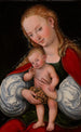 Vierge à l'Enfant avec des raisins - Lucas Cranach l'Ancien — vista dell’opera