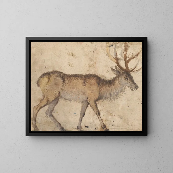 Studio di un cervo - Lucas Cranach il Vecchio — quadro incorniciato alla parete