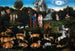 Il Giardino dell'Eden - Lucas Cranach il Vecchio — vista dell’opera