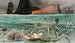 La pesca delle aringhe in Scozia delle barche di Berck - Ludovic Lepic — vista dell’opera