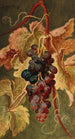 Raisins - Ludwig Adam Kunz — vista dell’opera