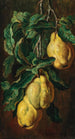 Coings - Ludwig Adam Kunz — vista dell’opera