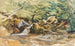 Studio di torrent e arbusti - Ludwig Correggio — vista dell’opera