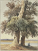 Due alberi sul fiume - Ludwig Daniel Philipp Schmidt — vista dell’opera