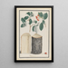 Études des feuilles, fleurs, fruits et tronc d'un alisier Sorbus sous-genre Aria - Ludwig Pfleger — quadro incorniciato alla parete