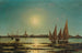 Vista di Venezia al chiaro di luna - Ludwig Rubelli von Sturmfest — vista dell’opera