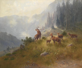 Cervi nelle montagne elevate - Ludwig Sckell — vista dell’opera