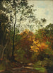Foresta - Ludwig Willroider — vista dell’opera