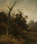 Albero secco sul bordo di un fiume - Ludwig Willroider — vista dell’opera