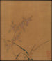 Orchidee - Ma Lin — vista dell’opera