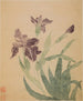 Iris - Ma Yuanyu — vista dell’opera