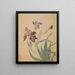 Iris - Ma Yuanyu — quadro incorniciato alla parete