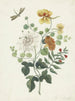 Nature morte aux fleurs - Machtelt Moninckx — vista dell’opera