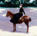 Mademoiselle Meuriot sur son poney - Jacquesmile Blanche — vista dell’opera