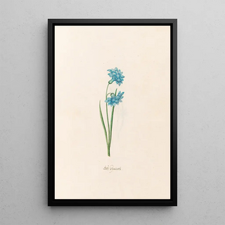 Magdelena Rosina Funck - Gef hacints.webp