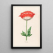 Coquelicot - Magdalena Rosina Funck — quadro incorniciato alla parete